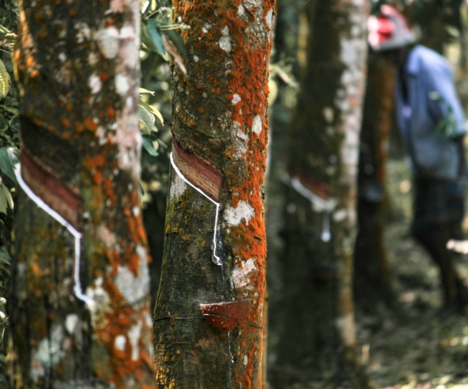 FEROX-Sustainability