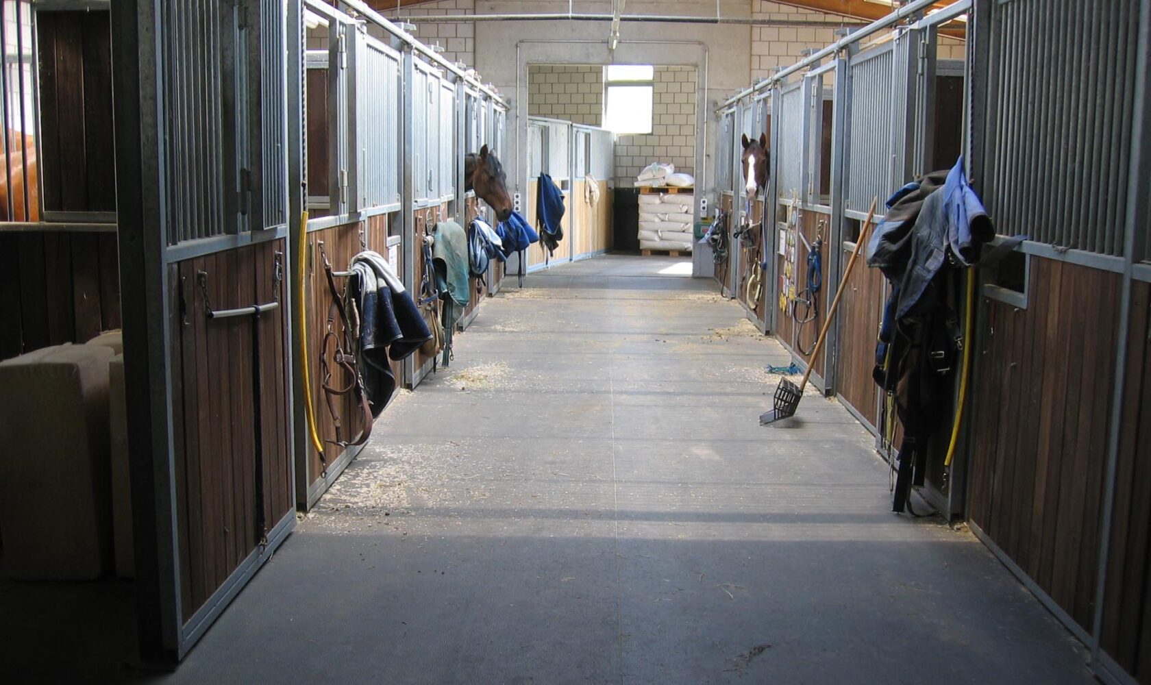 FEROX_Horse_Alleyway1