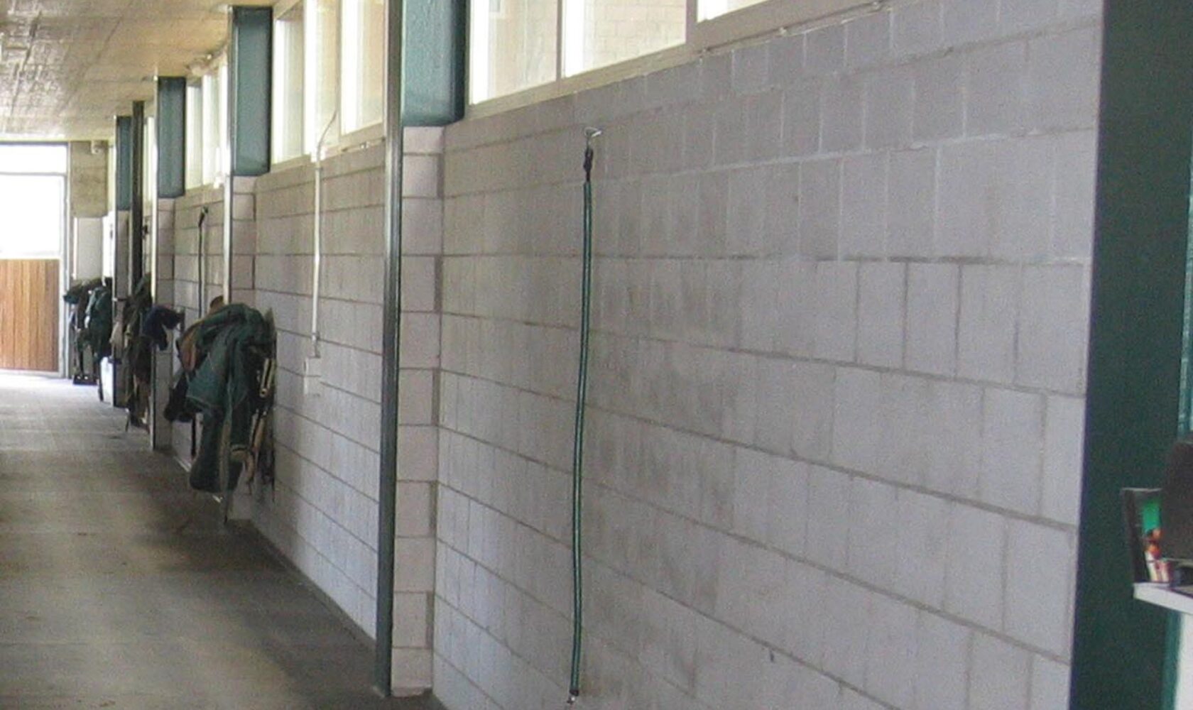 FEROX_Horse_Alleyway4