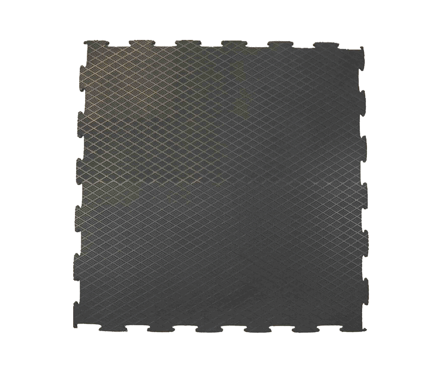 FEROX__0000s_0035_IMG08063