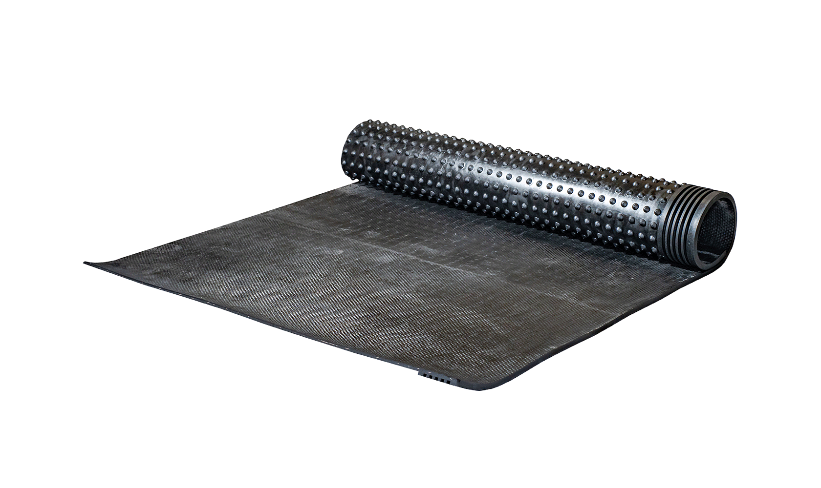 FEROX__0000s_0040_IMG07785-copy