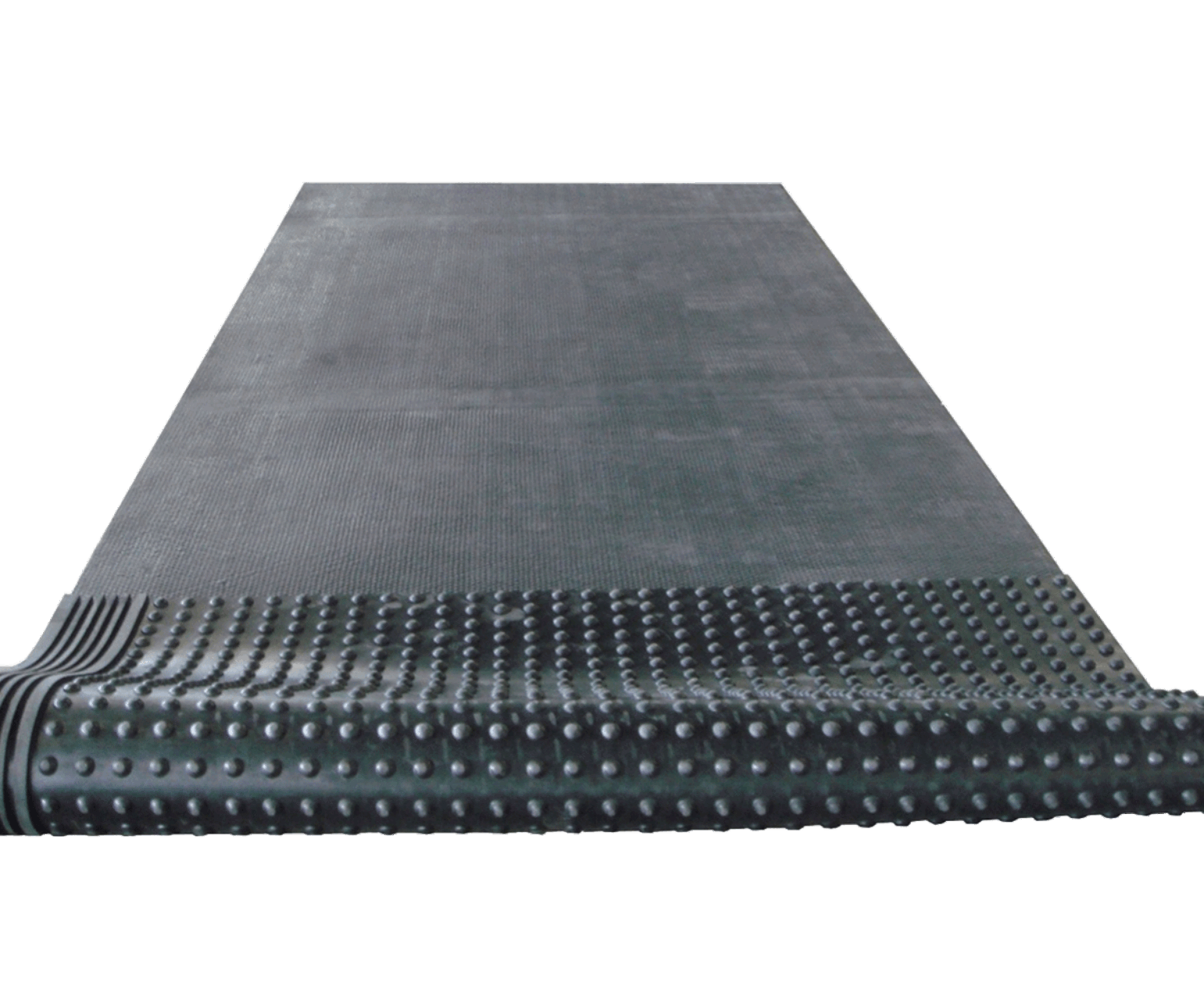 FEROX__0000s_0043_FarmStudRoll1